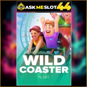 WILD COASTER