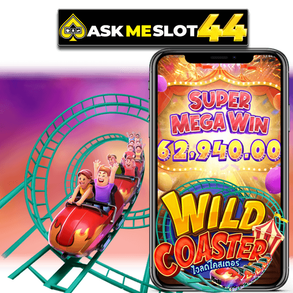 WILD COASTER